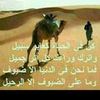 user9124217614113