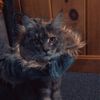 dasha_bon123