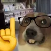 shivermetimbers86
