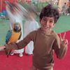 sh2zoo_221