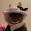 bee_.moo