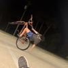 levi_roofus