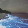 tiktokhypezr