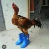jv_carvalho07