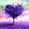 doree_s