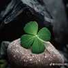 hnhi.nguyen