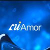 miamor_platform2