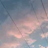user195074563