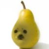 katxdxd