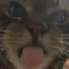 fuckdoicare