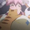 zmysunny_z