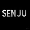 studiosenjur1