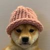 andy.rapta