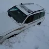 bawarbarzan5