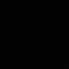 .z_2l