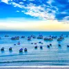 hoangbi_203
