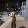 apphlebautista