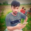 hassanshaheen00786