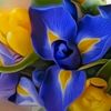 user9112703285387mary