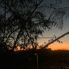 kyz_2311