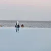 amanykalla