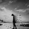 abd_0_1