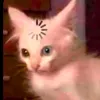 _.blip._.blop._