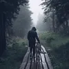 _frzaneh_