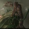 reptiles.and.amphibians