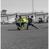 alonsorodri14