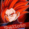 new_shalloto