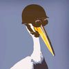 modestpelican