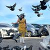 birdygirlvani