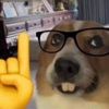 plsdont04