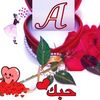 yassmina2431
