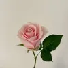 119_hm