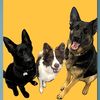 thek9pack