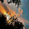 aliali_g