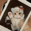 nhatleehaybun