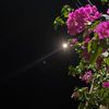 nadosh_59