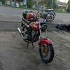 pltbe1980