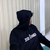 BasoV29