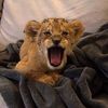 rnaaaaw
