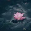 dtngoc99
