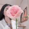 nishasha721