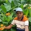 প্রিয় নানা ভাই