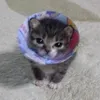 imasadlgirl