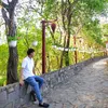 Xe Điện Nhất Phương