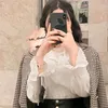 toto_alsaket10