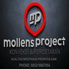 mollens_project